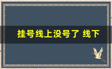 挂号线上没号了 线下会有吗_武汉协和医院满了还会放号吗